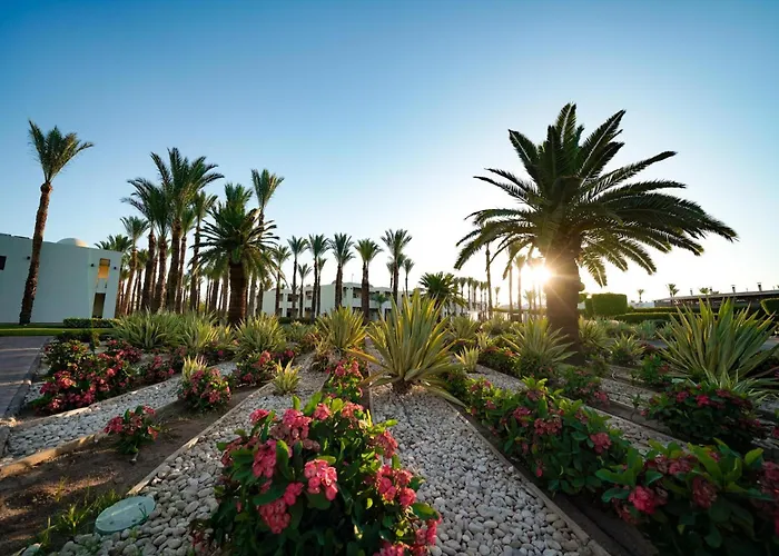 Sentido Reef Oasis Aqua Park