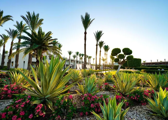 Sentido Reef Oasis Aqua Park 5*