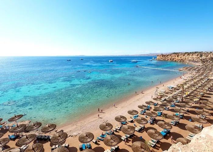 Sentido Reef Oasis Aqua Park